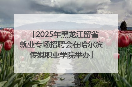 2025年黑龙江留省就业专场招聘会在哈尔滨传媒职业学院举办