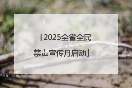 2025全省全民禁毒宣传月启动