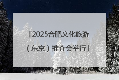 2025合肥文化旅游（东京）推介会举行