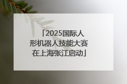 2025国际人形机器人技能大赛在上海张江启动