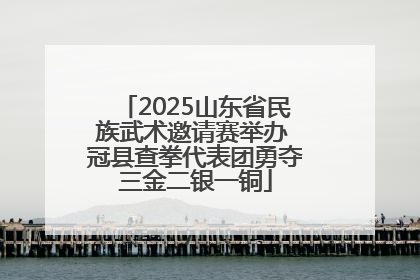 2025山东省民族武术邀请赛举办 冠县查拳代表团勇夺三金二银一铜