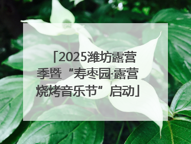2025潍坊露营季暨“寿枣园·露营烧烤音乐节”启动