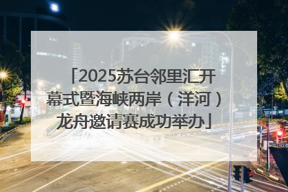 2025苏台邻里汇开幕式暨海峡两岸（洋河）龙舟邀请赛成功举办