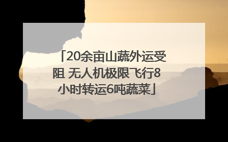 20余亩山蔬外运受阻 无人机极限飞行8小时转运6吨蔬菜