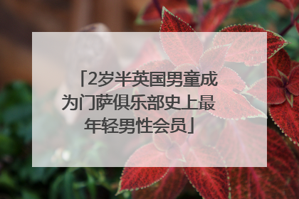 2岁半英国男童成为门萨俱乐部史上最年轻男性会员