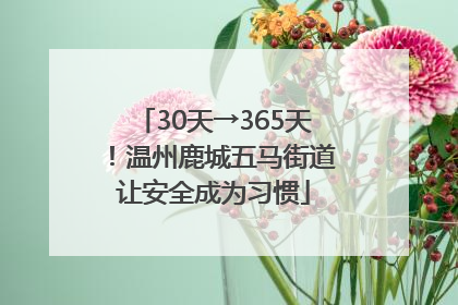 30天→365天！温州鹿城五马街道让安全成为习惯