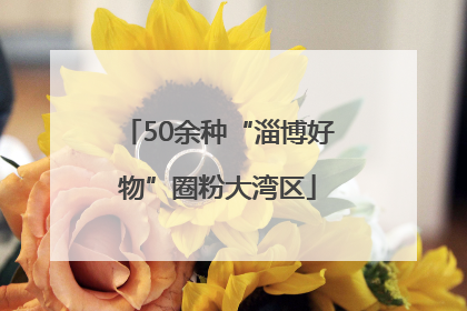 50余种“淄博好物”圈粉大湾区