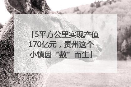 5平方公里实现产值170亿元，贵州这个小镇因“数”而生
