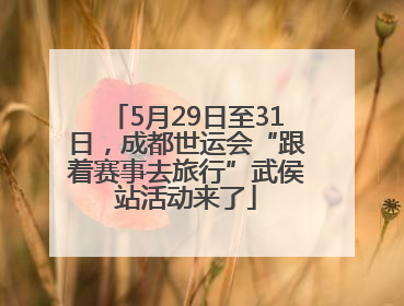 5月29日至31日，成都世运会“跟着赛事去旅行”武侯站活动来了