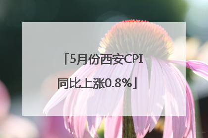 5月份西安CPI同比上涨0.8%