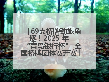 69支桥牌劲旅角逐！2025 年 “青岛银行杯” 全国桥牌团体赛开赛