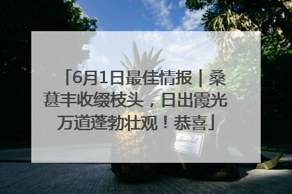 6月1日最佳情报｜桑葚丰收缀枝头，日出霞光万道蓬勃壮观！恭喜