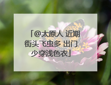 @太原人 近期街头飞虫多 出门少穿浅色衣