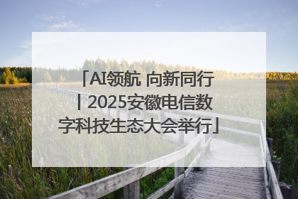 AI领航 向新同行丨2025安徽电信数字科技生态大会举行