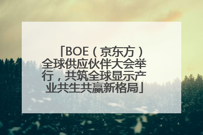 BOE（京东方）全球供应伙伴大会举行，共筑全球显示产业共生共赢新格局
