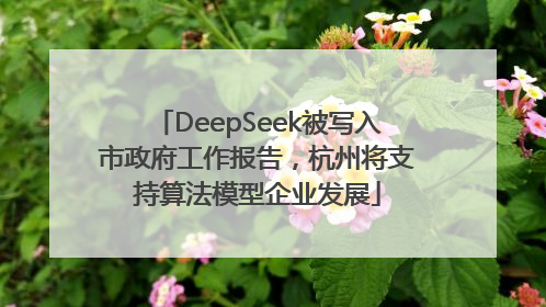 DeepSeek被写入市政府工作报告，杭州将支持算法模型企业发展