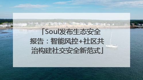 Soul发布生态安全报告：智能风控+社区共治构建社交安全新范式