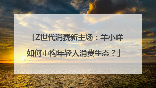 Z世代消费新主场：羊小咩如何重构年轻人消费生态？